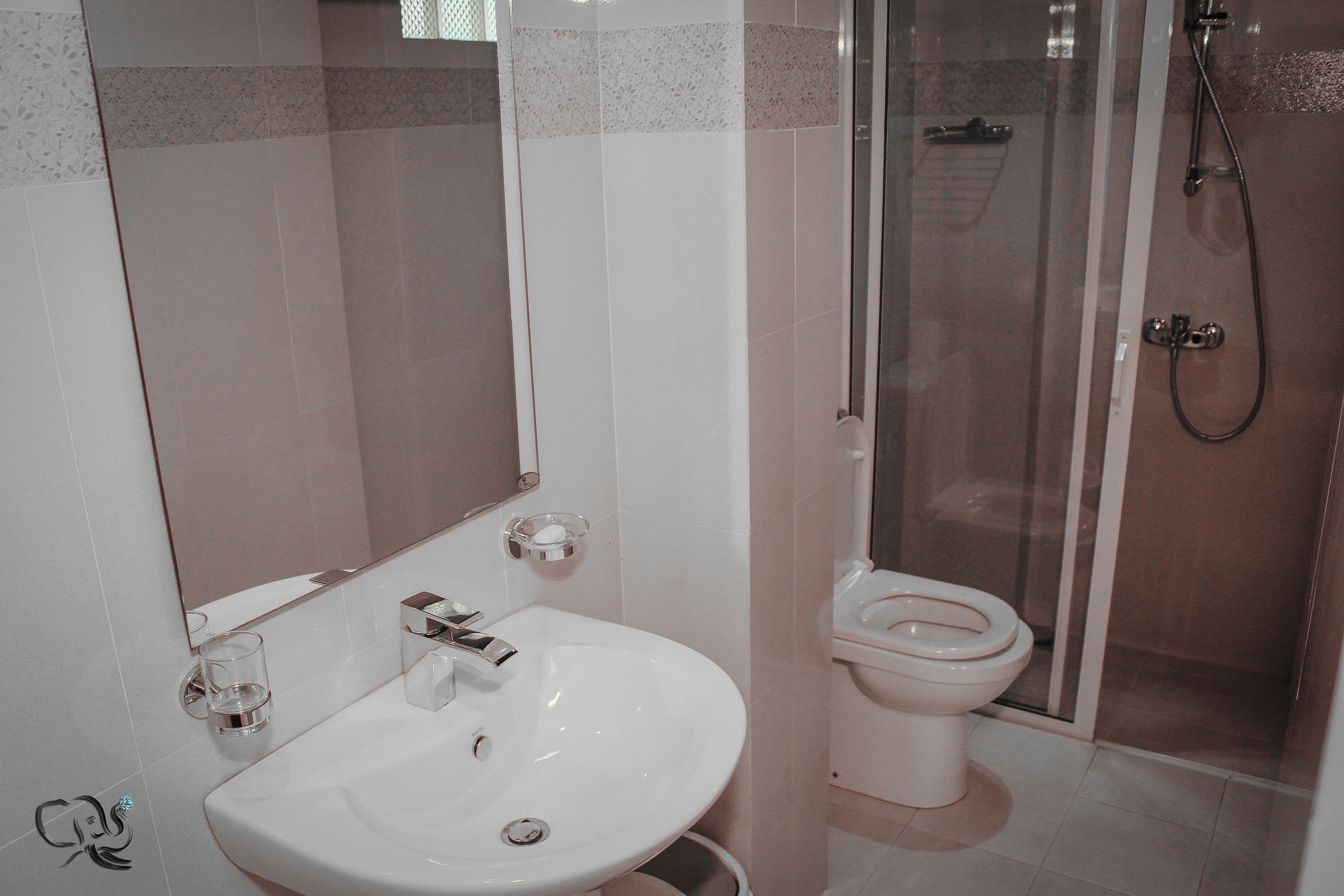 economy double room | bathroom amenities | shower, free toiletries, hair dryer, towels