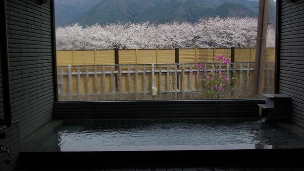 A traditional Japanese onsen with a view of cherry blossoms and mountains. - Togawaso (Fujikawaguchiko)