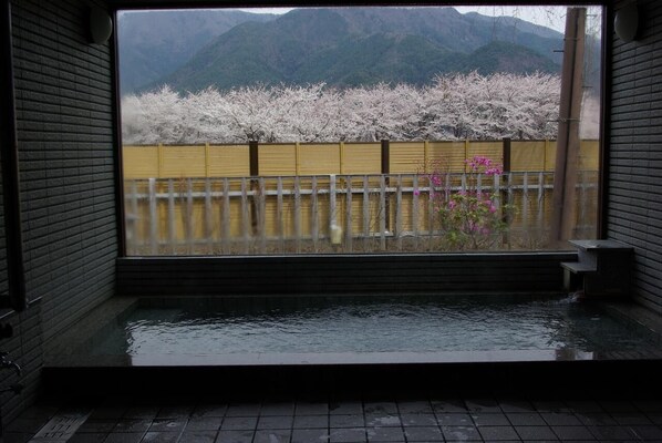 Spa - Togawaso (Fujikawaguchiko)