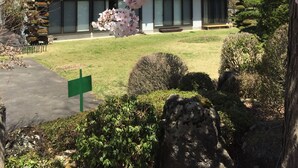 A building with a traditional architectural style, surrounded by a well-maintained garden with cherry blossoms. - Togawaso (Fujikawaguchiko)