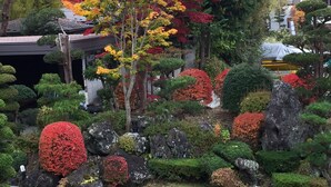 A traditional Japanese garden with various trees, rocks, and well-maintained shrubs. - Togawaso (Fujikawaguchiko)