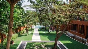Un patio bien cuidado con un sendero central, rodeado de exuberante vegetación y árboles.
