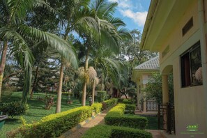 A pathway leading to a building surrounded by lush greenery and palm trees. - Miika Eco Resort Hotel (Hoima)