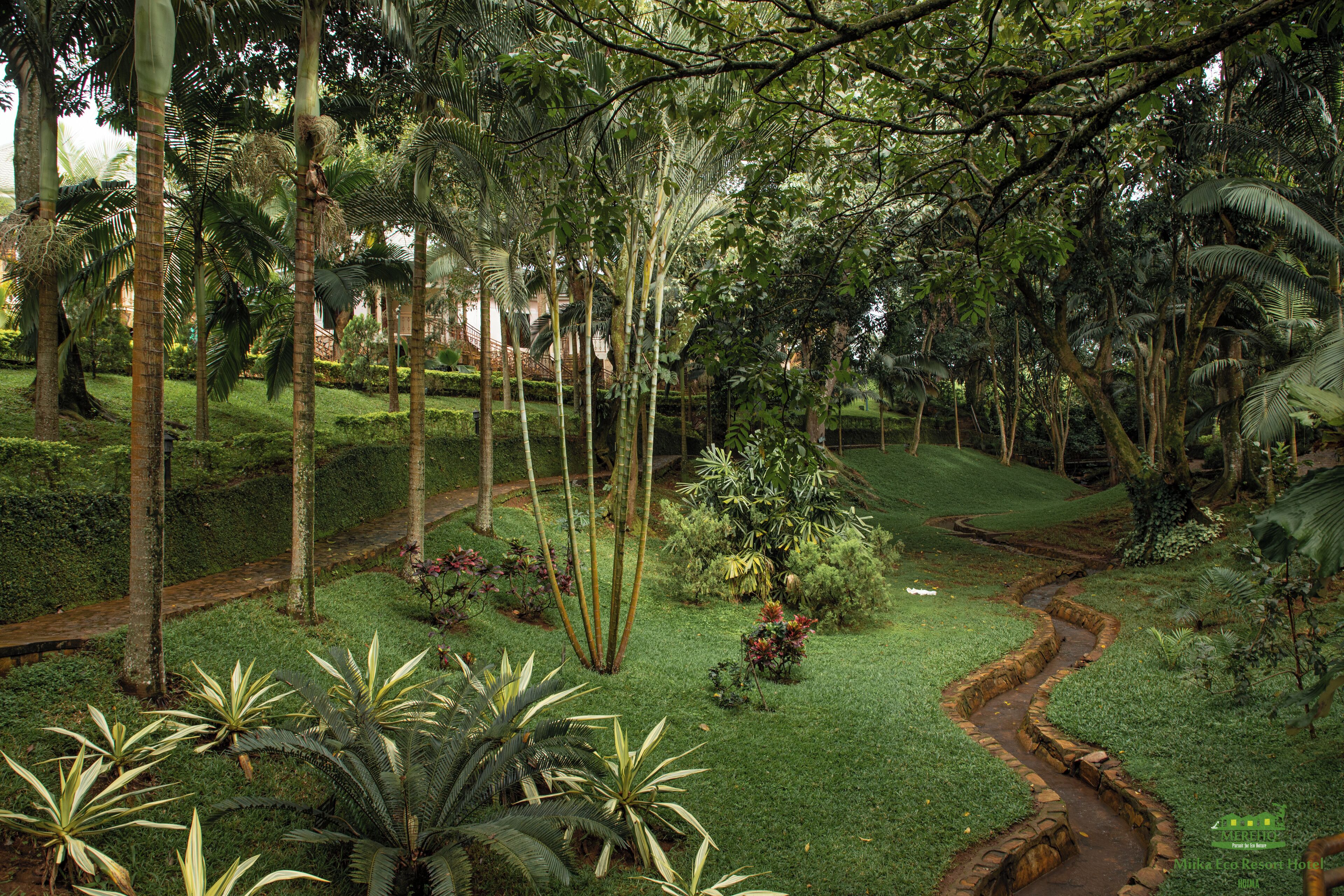 Un exuberante jardín con un sendero sinuoso, altas palmeras y diversos arbustos.