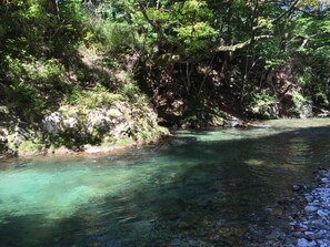 A clear river surrounded by dense forest and rocky terrain.