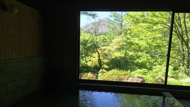 Quarto com uma grande janela com vista para uma floresta verdejante e uma piscina de pedra.