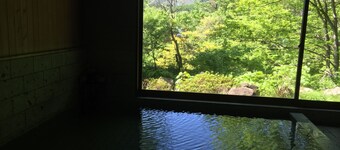 Miyori Furusato Taikenmura