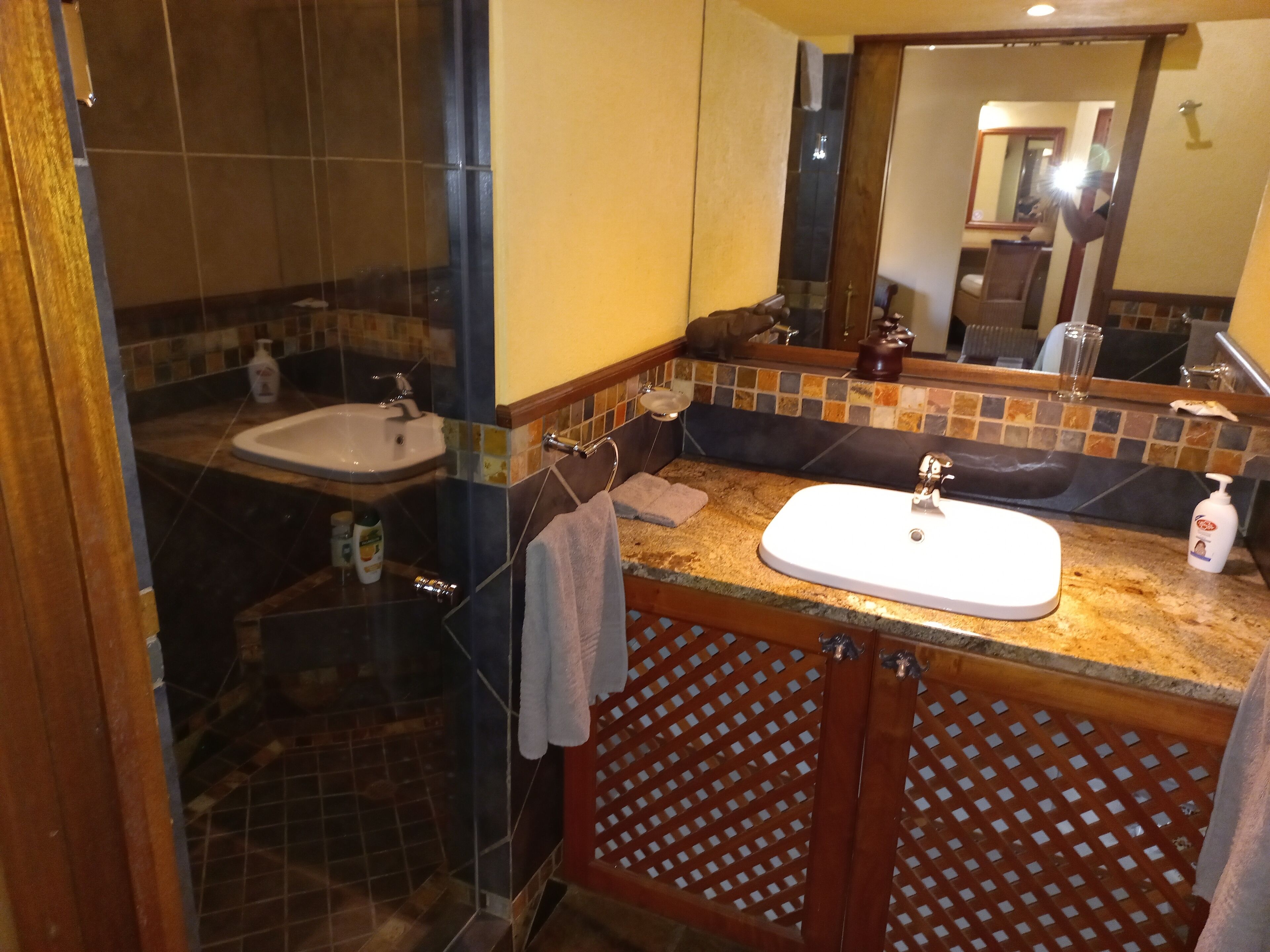 A bathroom with two sinks, a shower, and a mirror.
