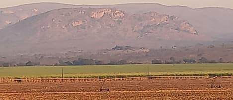 A flat landscape with a distant mountain range.
