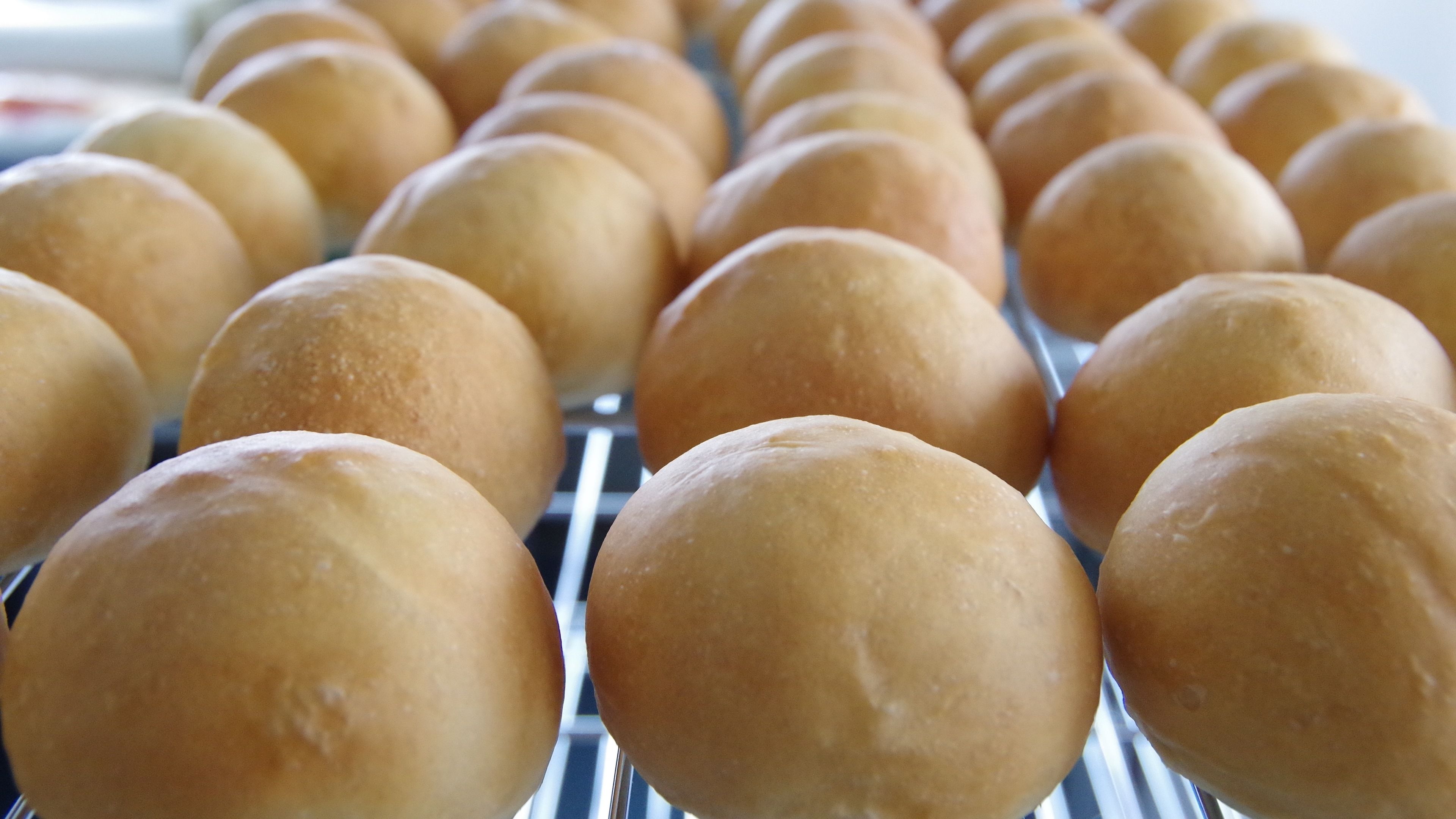 A tray of round, golden-brown bread rolls.