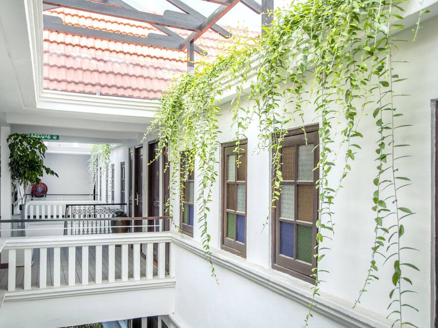 A corridor with a white railing, a red tiled roof, and green vines growing on the walls.
