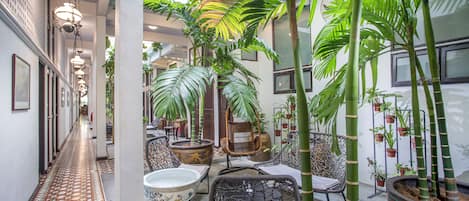 Terrazza/patio