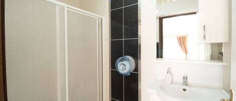 A bathroom with a toilet, a sink, and a shower.