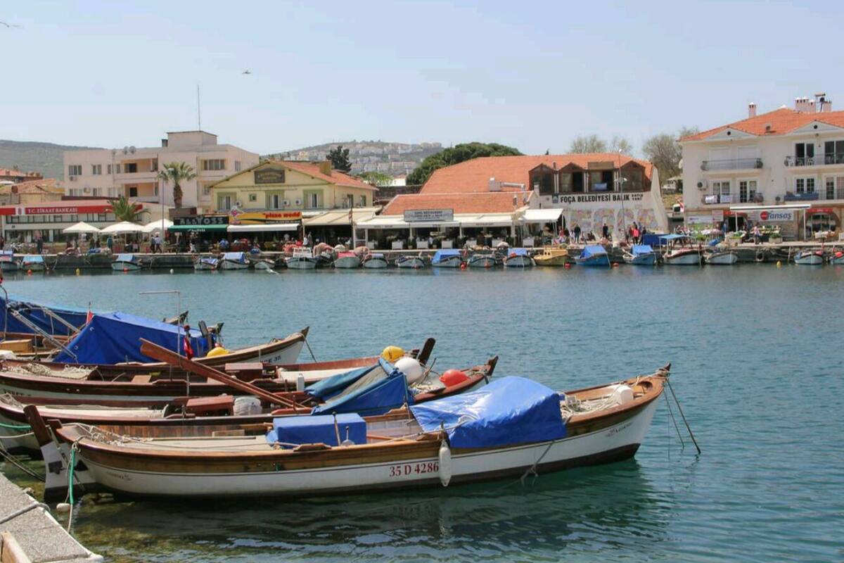 Un port de plaisance avec plusieurs bateaux amarrés, une jetée et des bâtiments en arrière-plan.