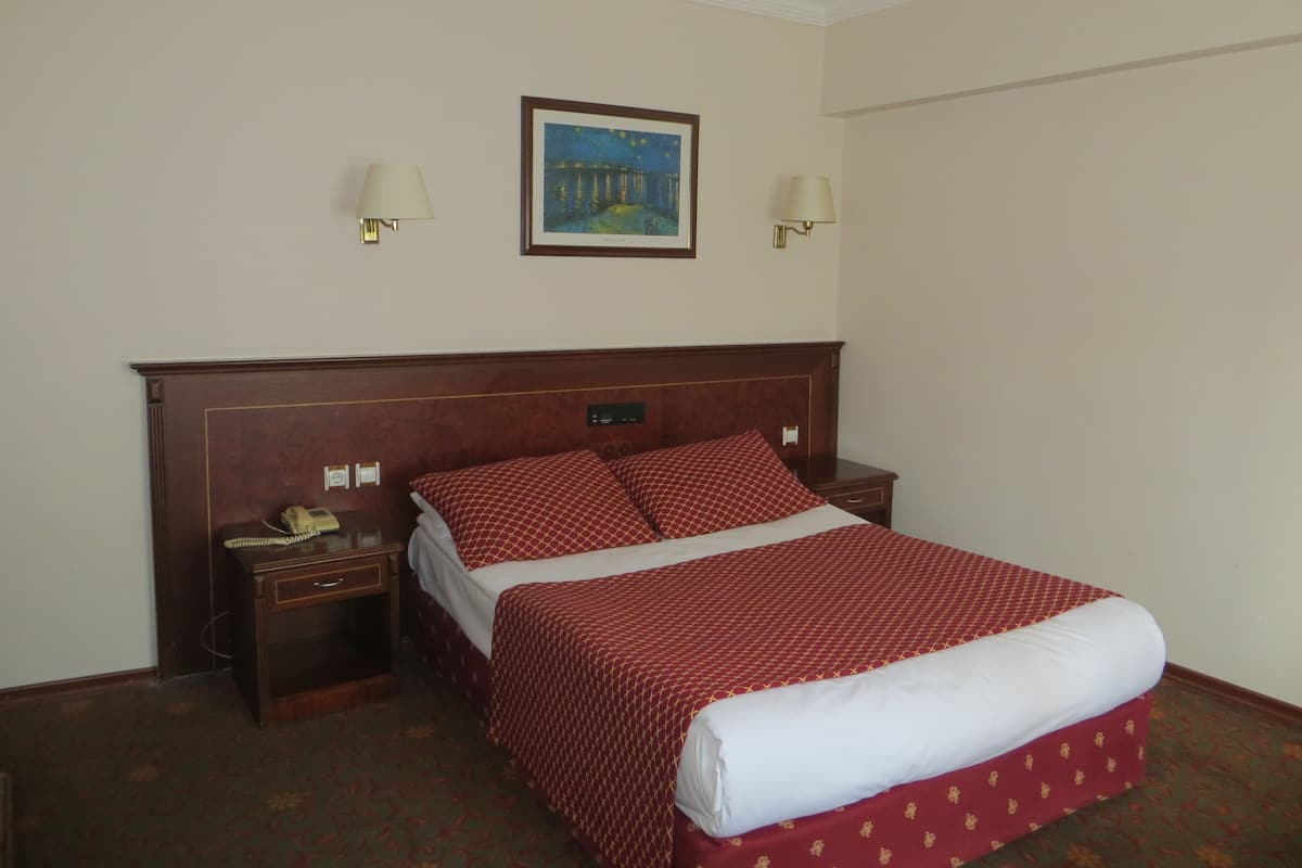 Double or Twin Room | Premium bedding, minibar, in-room safe, desk
