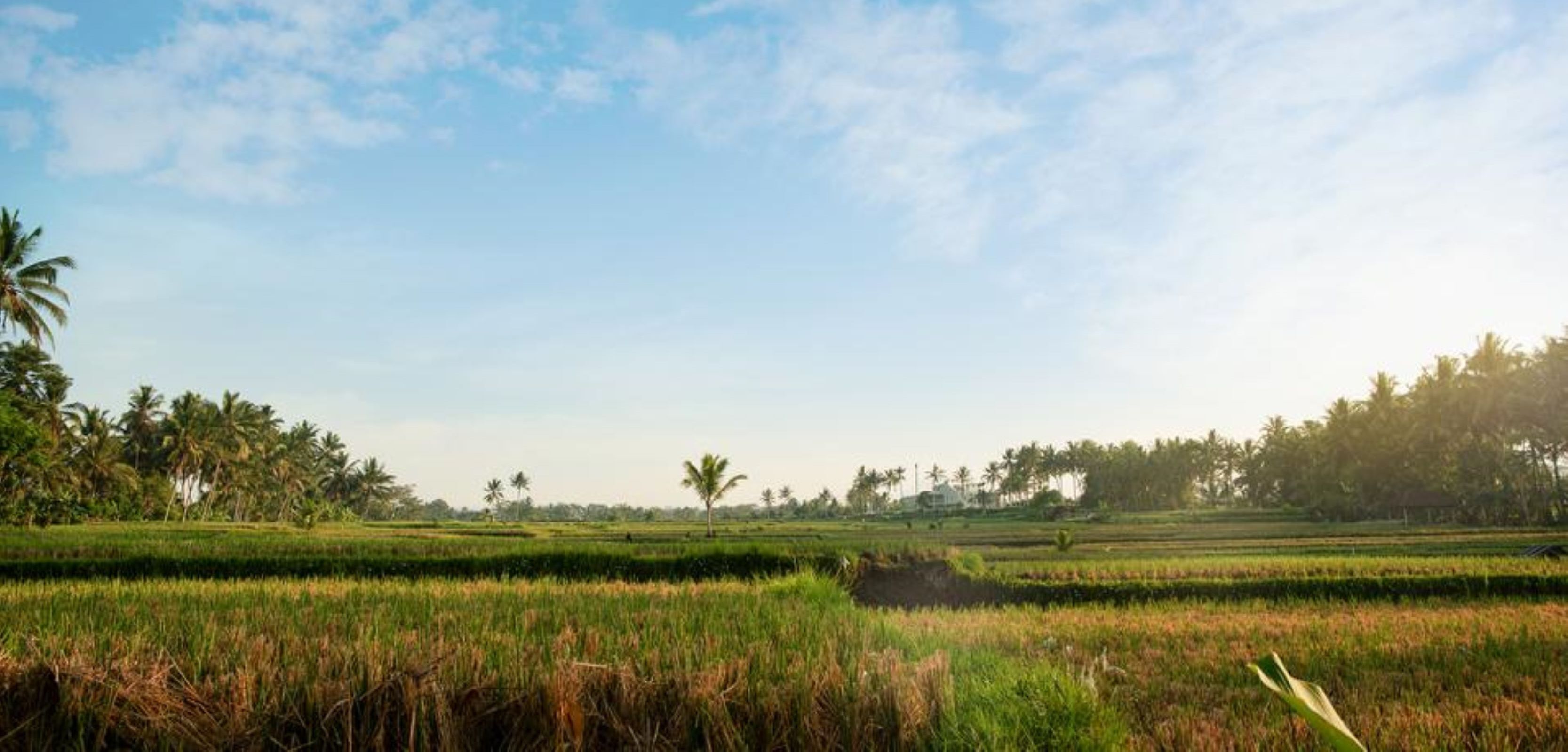 Photo - Ayu Duwur Beji