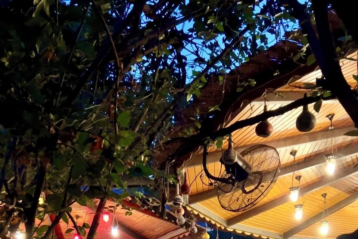 Un espace extérieur aménagé en terrasse, avec un mur en pierre, une table en bois, des chaises et des guirlandes lumineuses.