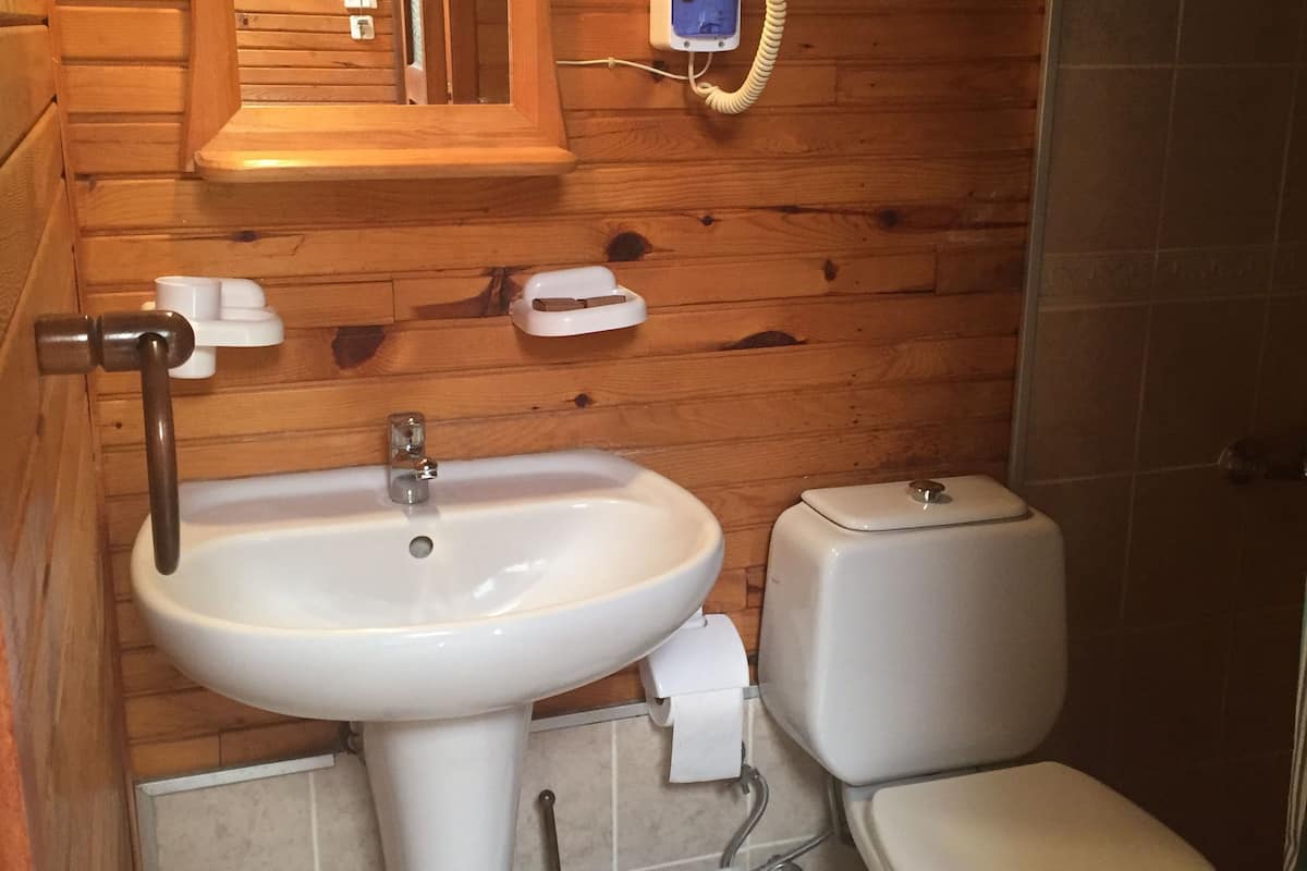 shower, free toiletries, hair dryer, towels