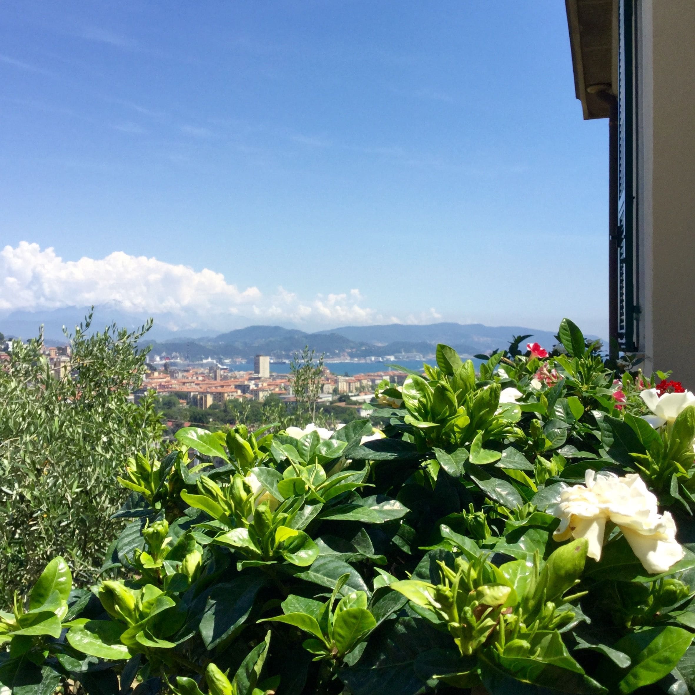 View from property