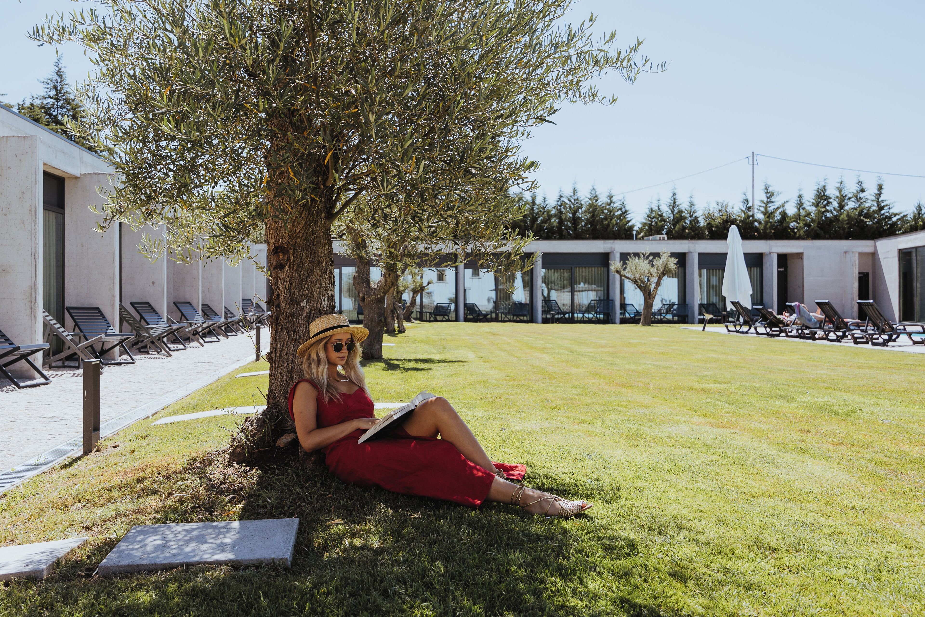 Foto - Borralha Hotel, Restaurante & Spa