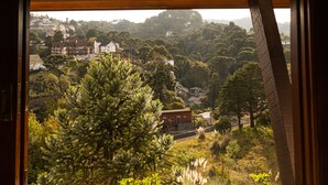 Apartamento Standard