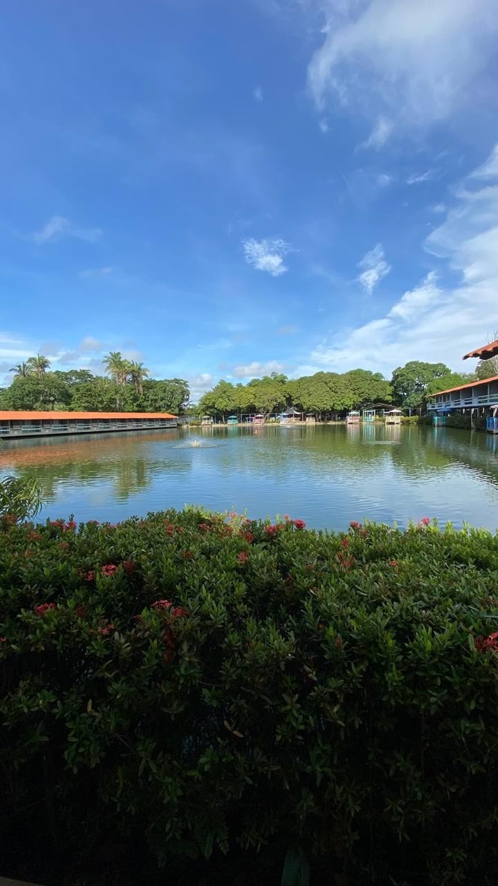 A calm water body with a bridge, surrounded by greenery and trees.