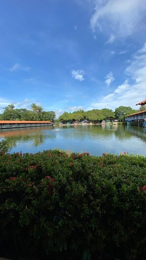 A calm water body with a bridge, surrounded by greenery and trees.