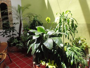 Jardin