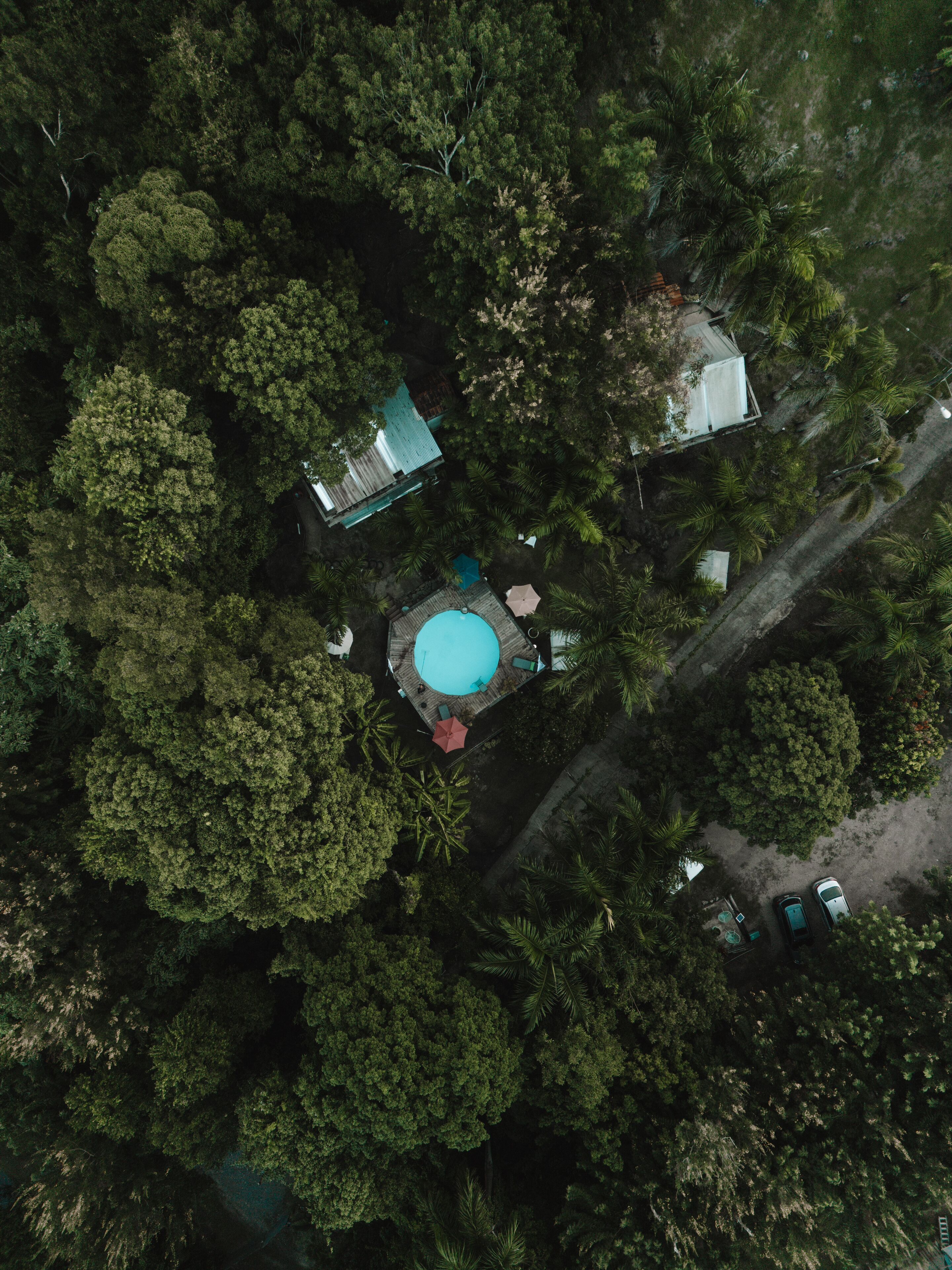 Vista aérea de una propiedad con piscina rodeada de árboles frondosos, algunos edificios y una carretera pavimentada con coches aparcados.
