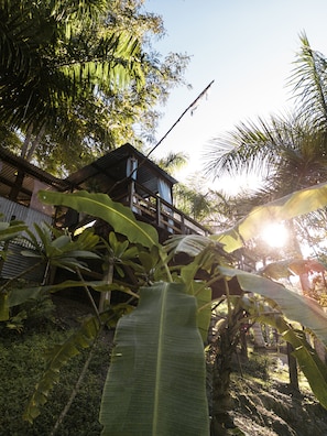 1 habitación, decoración personalizada y muebles diferentes