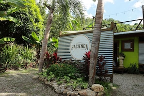 1 habitación, decoración personalizada y muebles diferentes