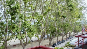 Una calle bordeada de árboles y coches aparcados, con un banco y un café llamado 'CAFE BOGANI DESPERTA'.