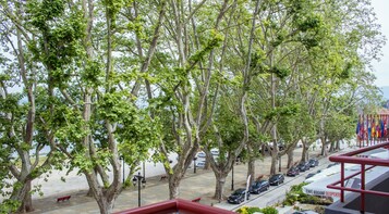 Vista desde la propiedad