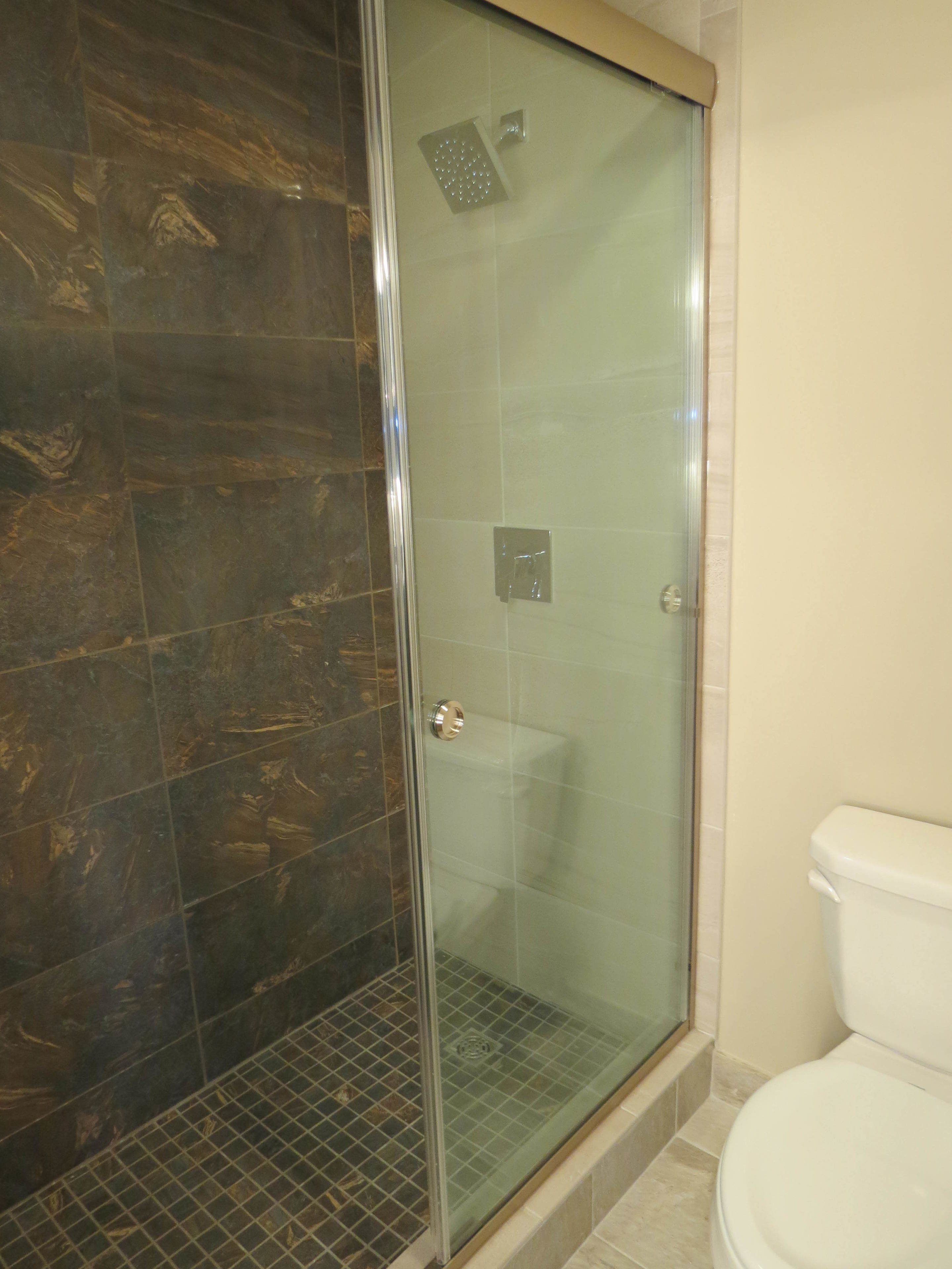A glass-enclosed shower with a dark tile wall and a white toilet.