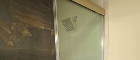 A glass-enclosed shower with a dark tile wall and a white toilet.