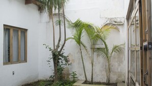 Ein Innenhof mit weißer Mauer, einem Fenster und einer Tür. Pflanzen und ein Pflasterweg sind ebenfalls vorhanden.