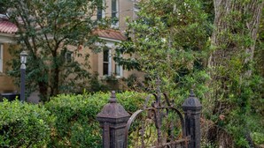 A wrought iron gate with intricate designs, a stone pathway, and a large tree in the foreground. - Belle Oaks Inn (Gonzales)