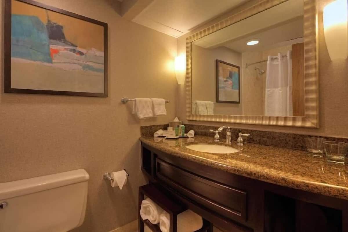 A bathroom with a large mirror, a sink, a toilet, and a towel rack.
