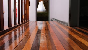 Un pasillo de madera con una escalera a la izquierda, una puerta a la derecha y una habitación con cama al final.