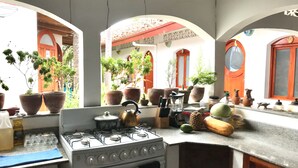 A kitchen with a gas stove, various kitchen utensils, and potted plants.