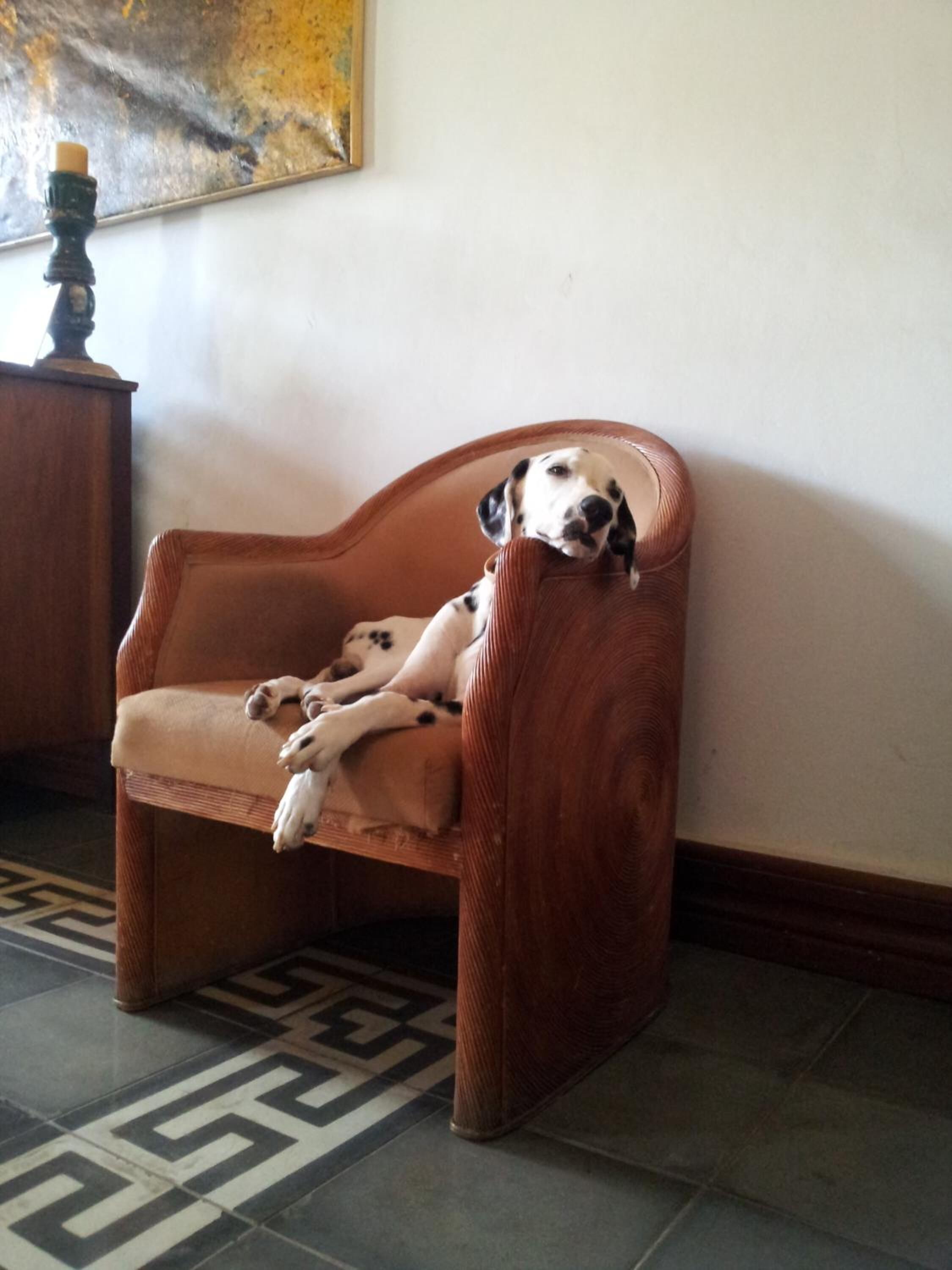 Photo - Hotel il Padrino