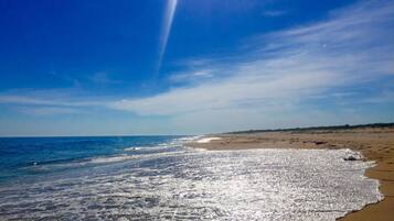 On the beach, sun-loungers, beach umbrellas, beach towels