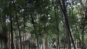 Piscina all'aperto