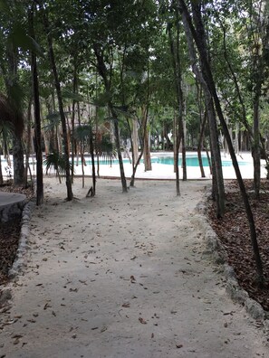 Stroll along the shaded pathway to the inviting pool.