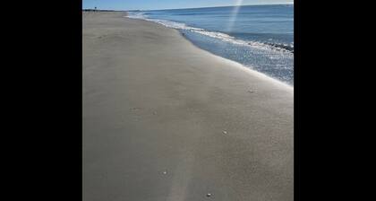 Toadally Relaxin' 2 Bedroom Home by RedAwning