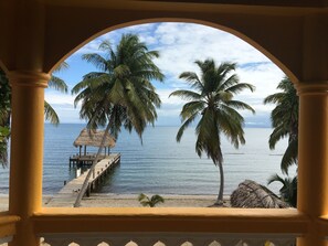 Terrace/patio - Blue Parrot Beach House (Hopkins)