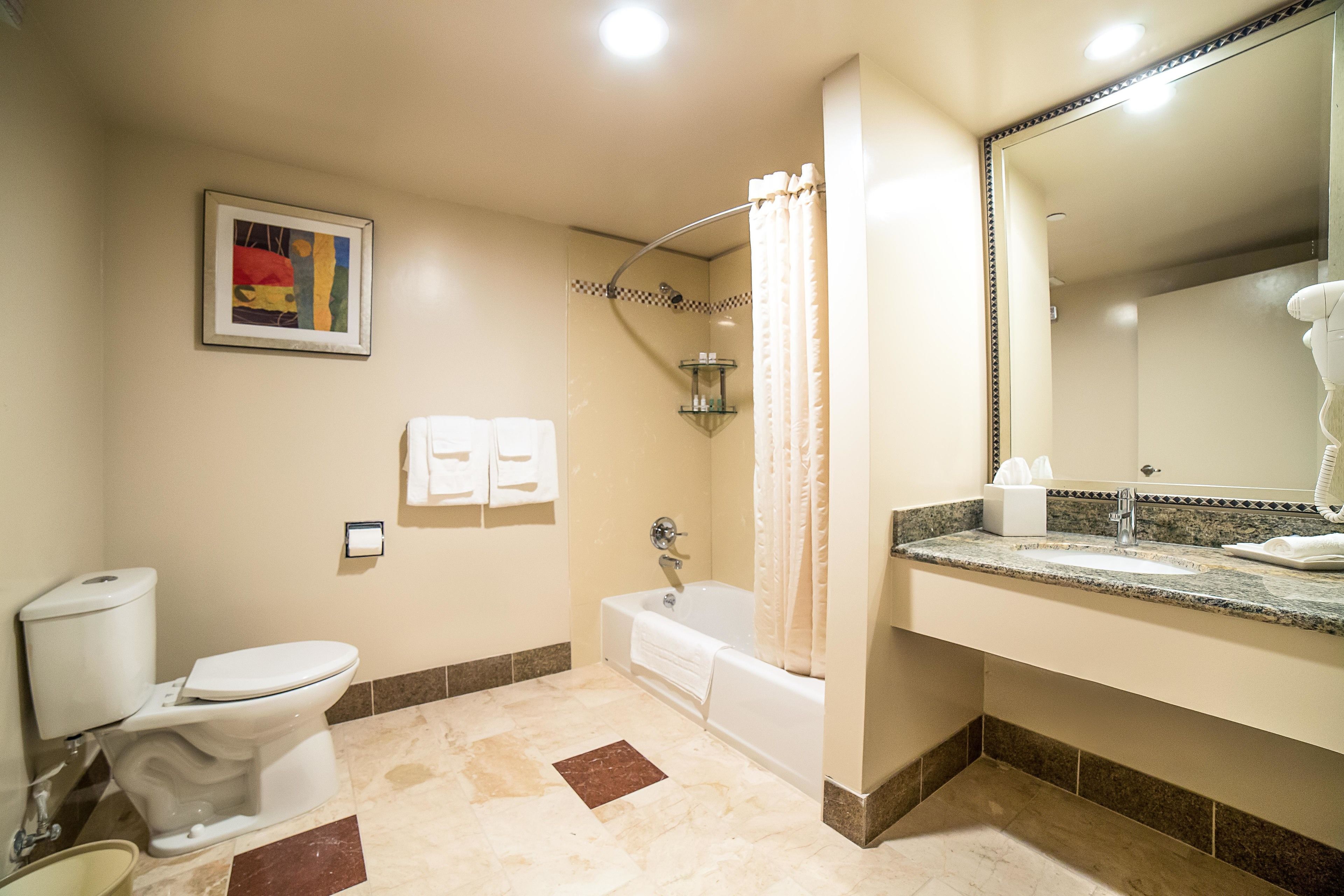 Un bagno con il water, un lavandino, una vasca da bagno e una doccia con tenda.
