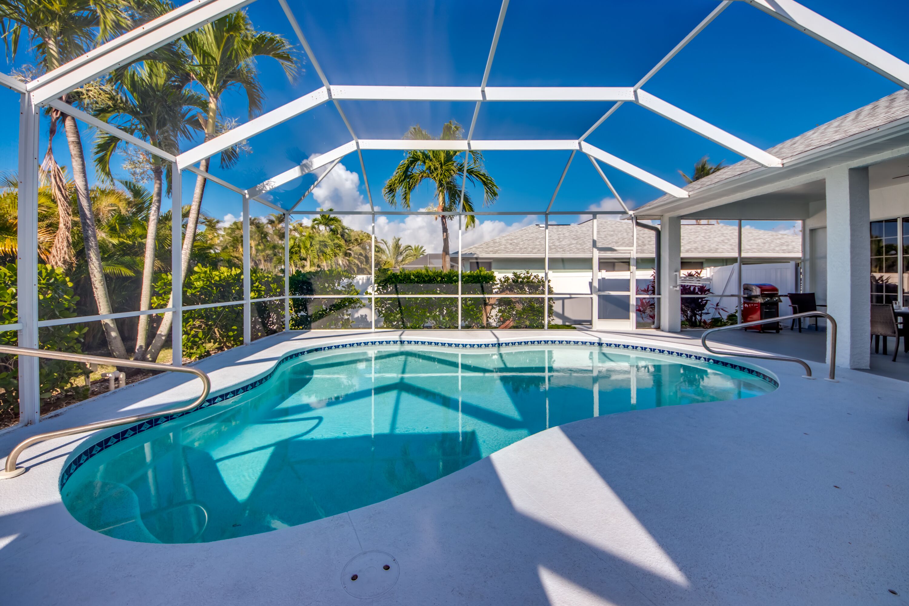A swimming pool with a glass enclosure, surrounded by palm trees and a clear blue sky.