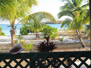 Property grounds - PRIME BEACHFRONT directly on HOOPERS BAY: KING OR TWIN BED STUDIO for 2  (Hoopers Bay)