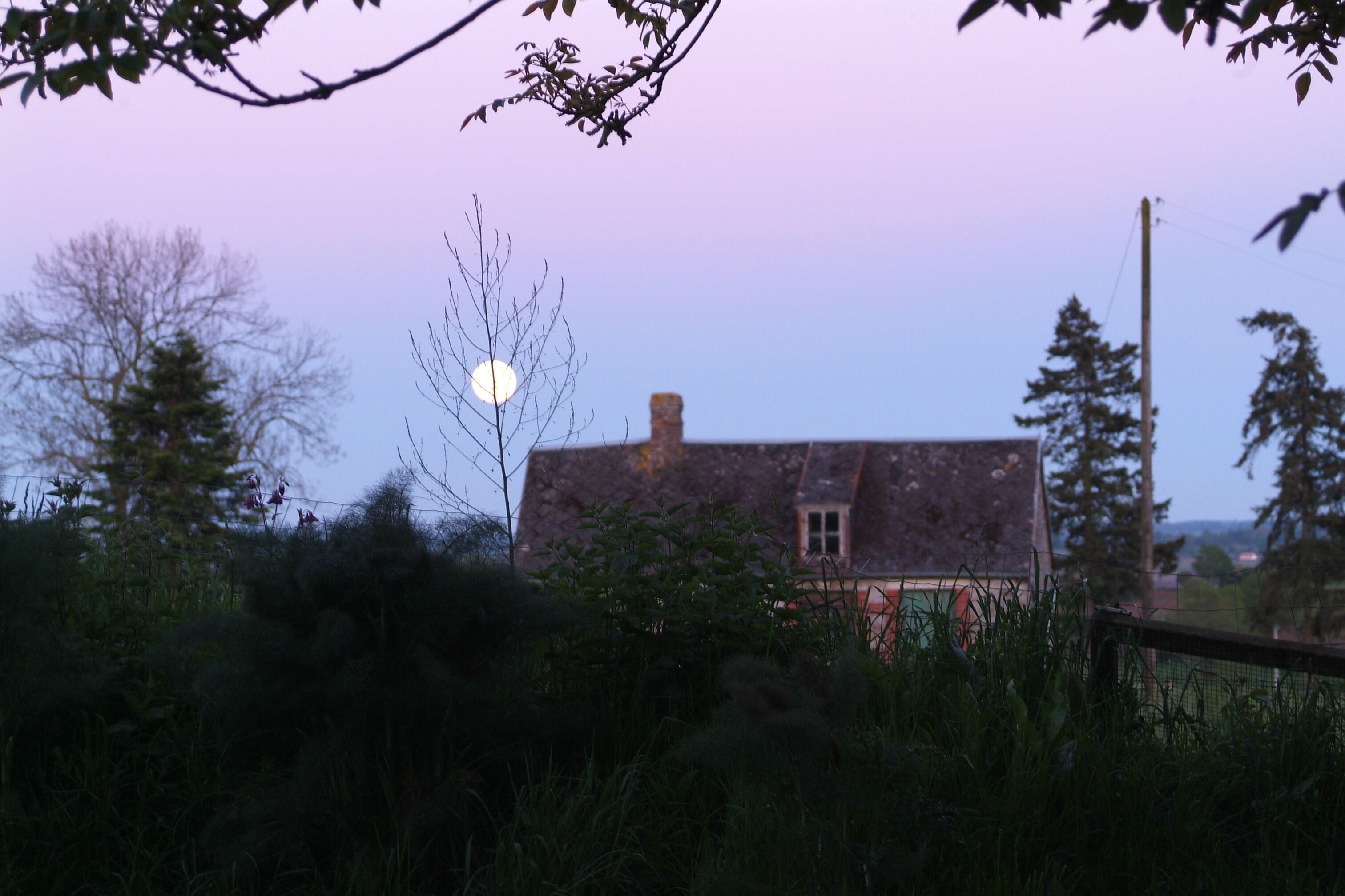 Enjoy the moon rising with the sounds of nature, getting ready for the night.